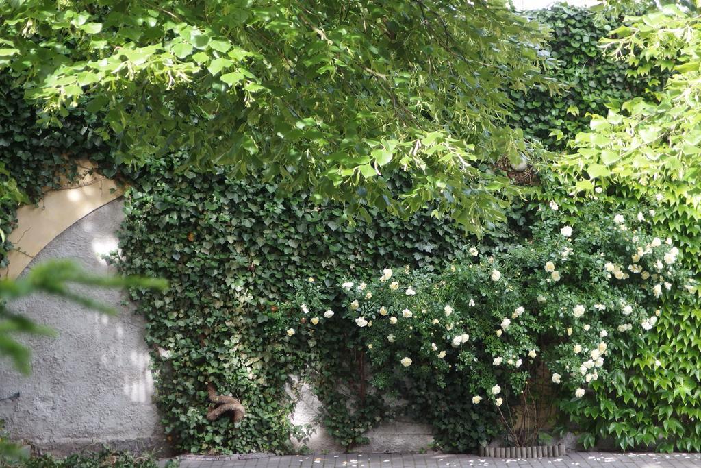 Patio Apartamenty I Pokoje Niechorze Dış mekan fotoğraf